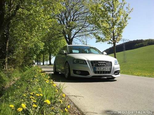 S3 Frühling 3