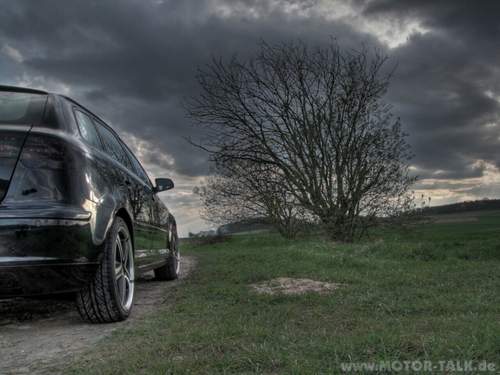 Bild-3