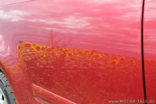 Img-0019