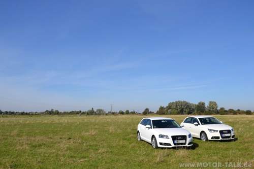 Bild #206249290