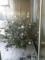Rockers-x-mas-tree