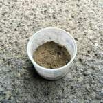 Testschmutz - feine Erde + Sand