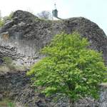 Berg
