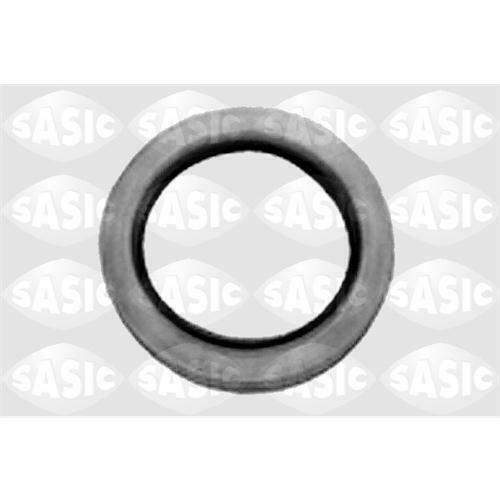 Dichtring