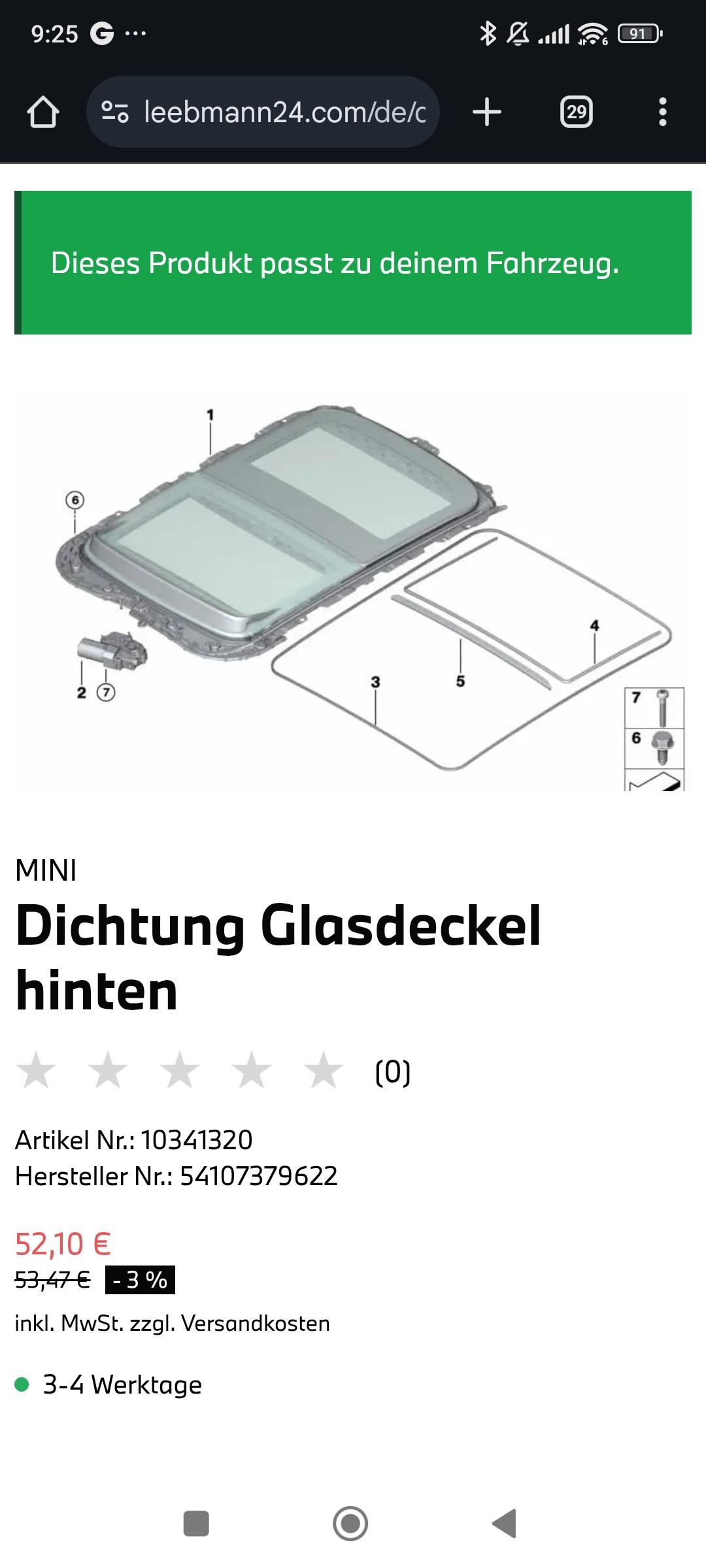 Dichtung Panoramadach defekt