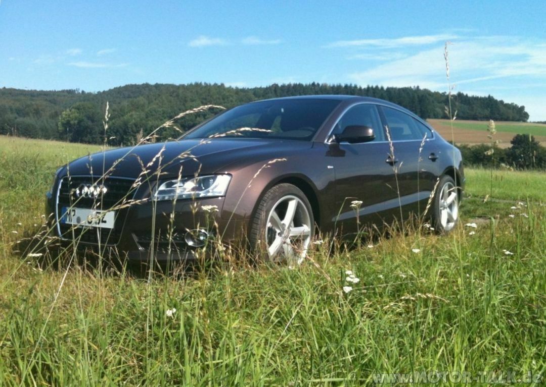 Audi A5 von Ludwigmvdr: Ein Dienstwagen, den er am liebsten übernehmen würde.