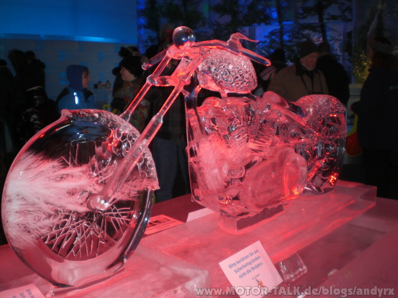 Die Eiswelt in Hamburg-> tolle Impressionen
