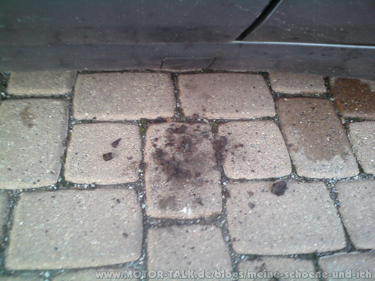 Die felgen sind dran... ich will eure meinungen hören