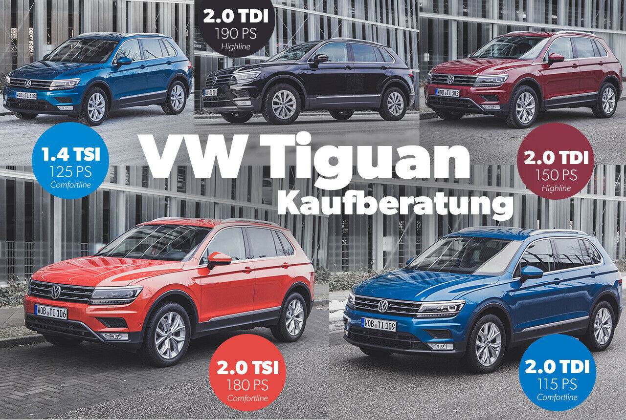 VW Tiguan 2 (2017) Kaufberatung: Fünf Modelle des Tiguan haben wir im Alltag getestet