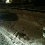 Img-0814