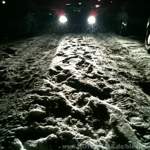 Img-0829