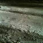 Img-0809