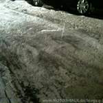 Img-0804