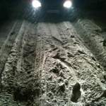 Img-0819