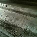 Img-0808
