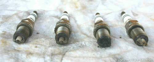 Img-3240-1-1