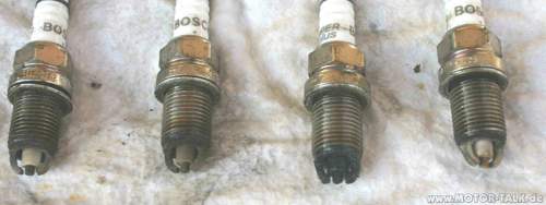 Img-3239-1-1