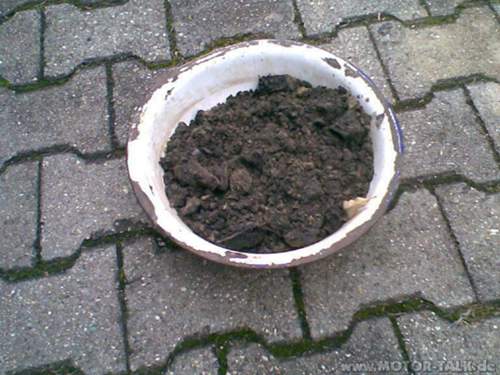 Bild081-1-1