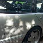 Img-1687