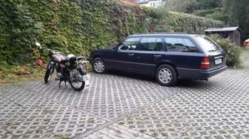 12049591-410140619189289-8352088914235299904-n