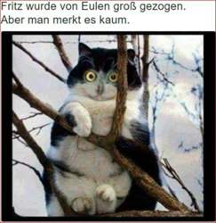 Huhuuu