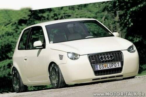 Lupo