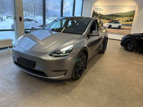 Model Y Quicksilver 1