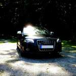 Bild-3