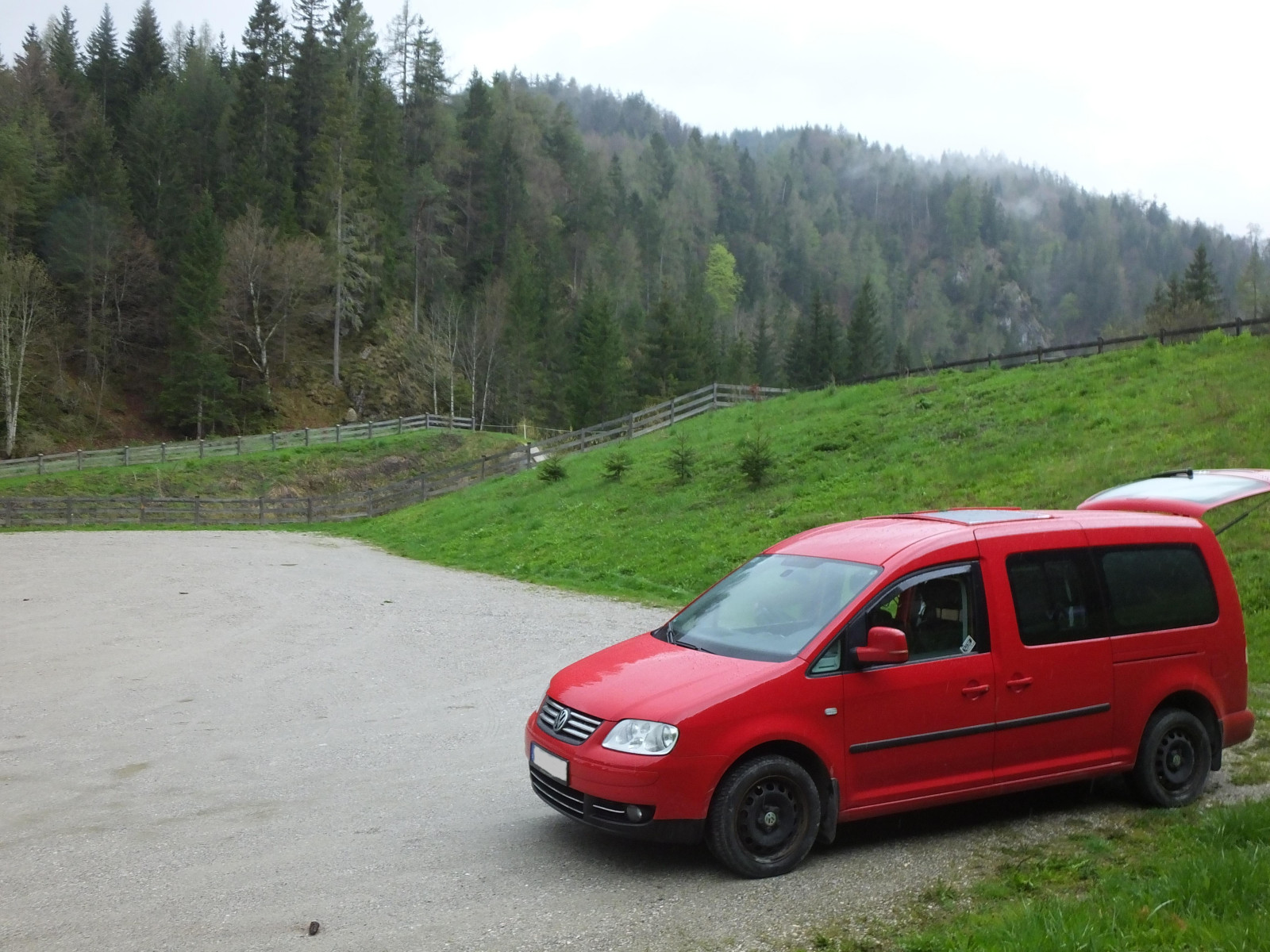 Die schönsten Caddybilder