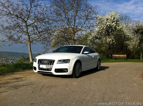 S5-fruehling-web