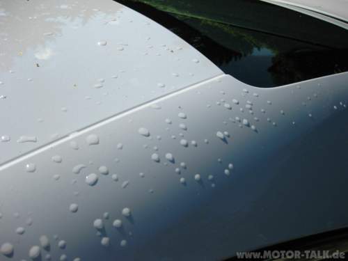 Img-3577