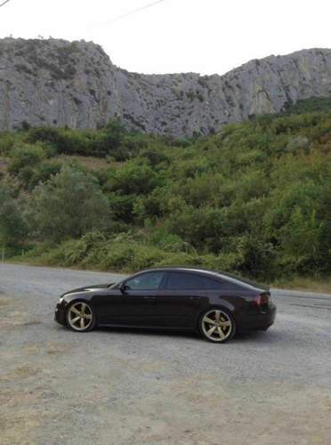 Gold Rotor 20"