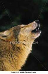 www.fotosearch.de