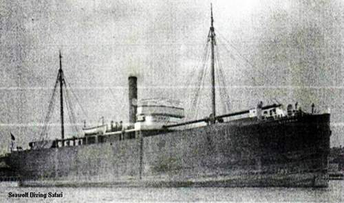 SS Turkia