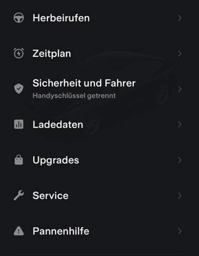 Tesla App Panenhilfe