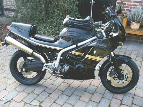 Nach der Wende: MZ Skorpion Fighter