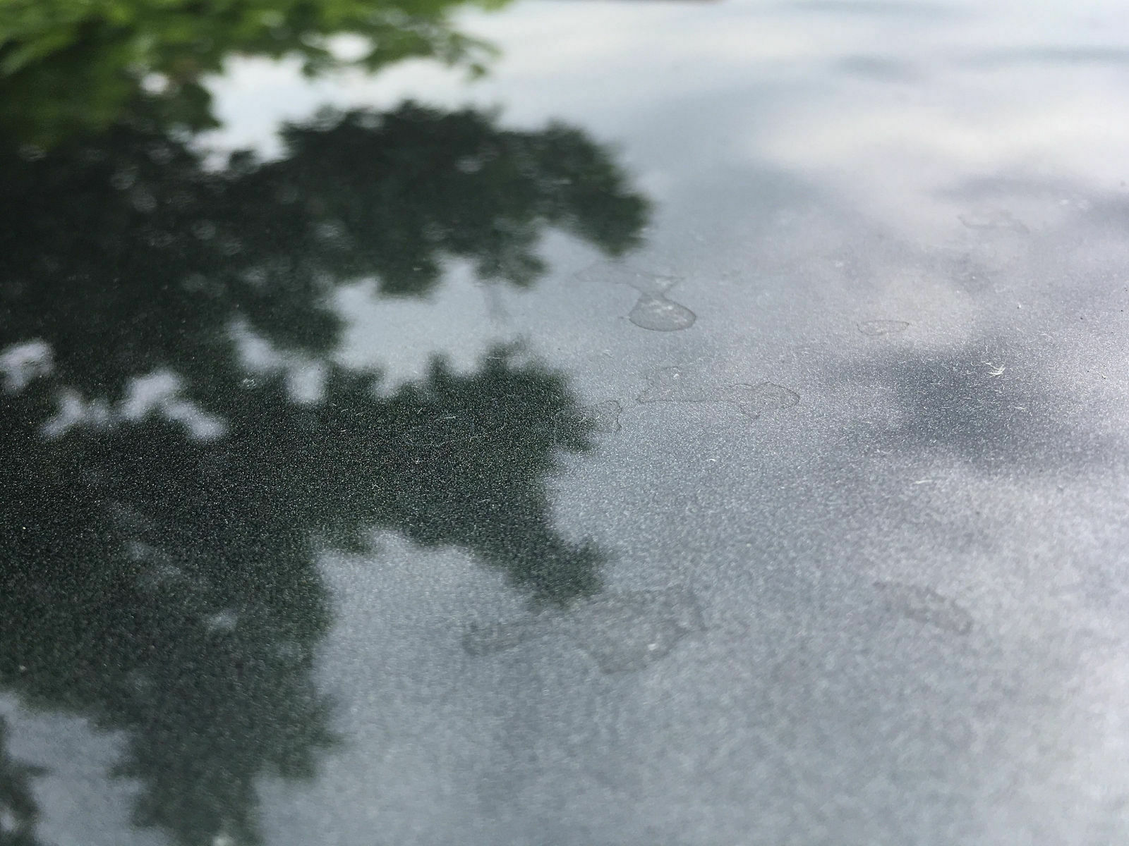 Die Vielseitigkeit eines Detailer‘s