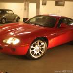 Mein Jaguar darf von 03-10