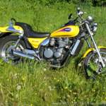 Viele Biker möchten kleine Schild hinten