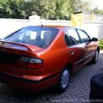 Bild-4