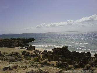 Dsc00300