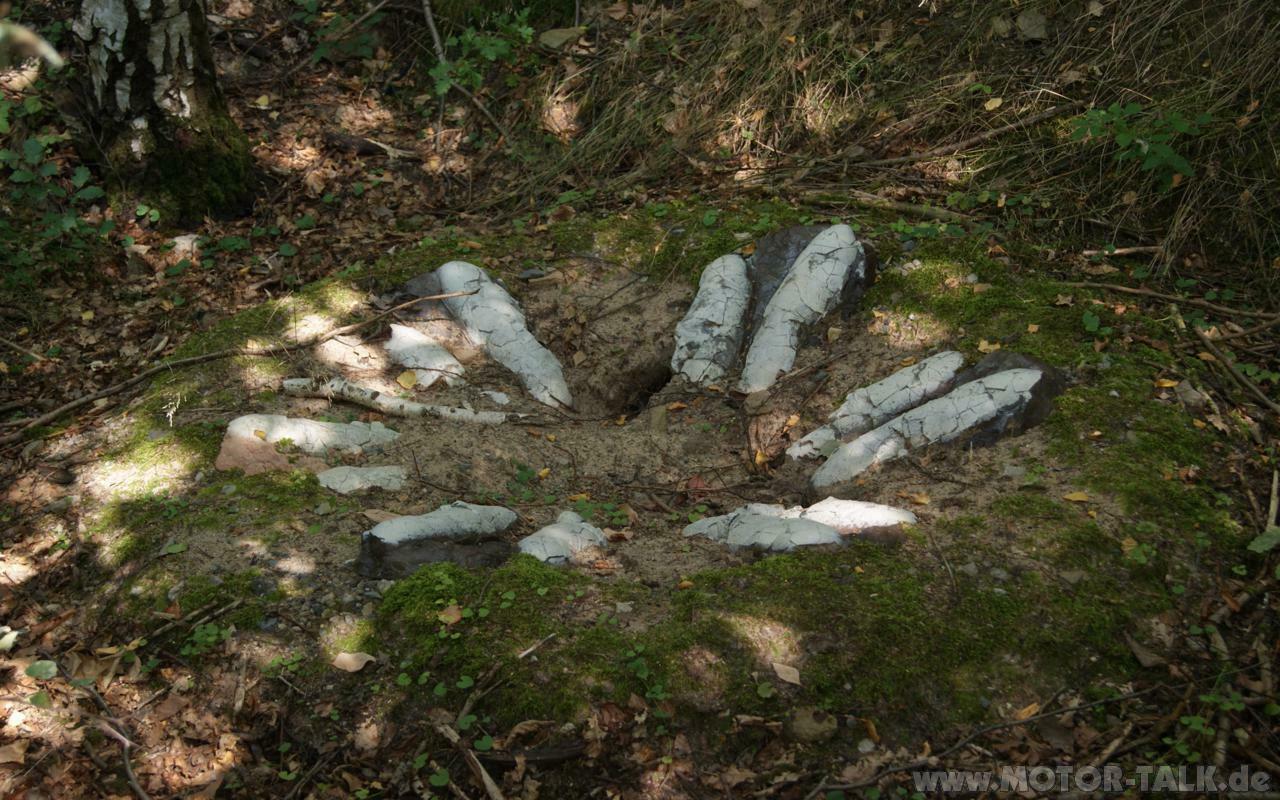 DIES & DAS: Walking With Dinosaurs