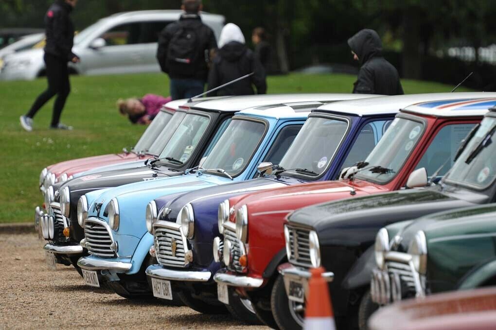 Minis in Reih und Glied