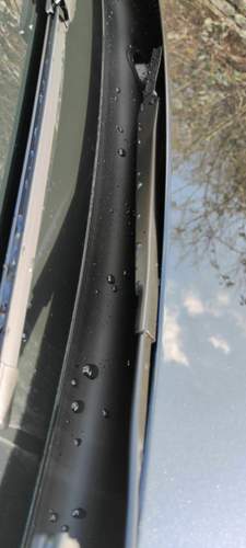 Img-20200314