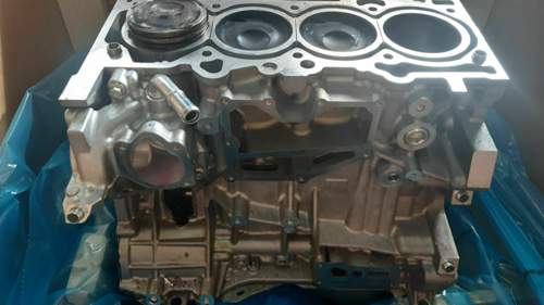 Rumpfmotor