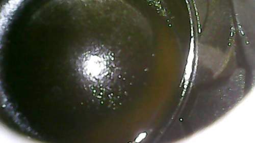 2022-09-18-164655931.jpg