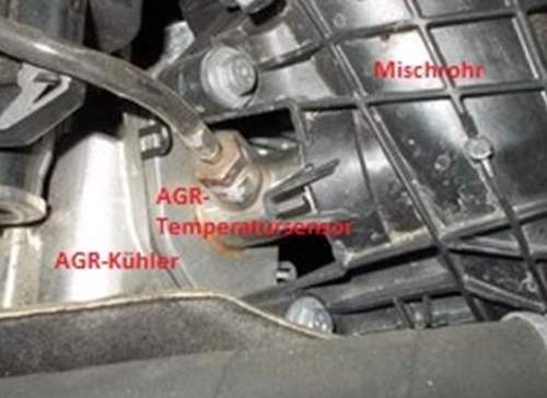 Abgastemperatursensor-nach-agr-kuehler