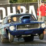 Img-8650