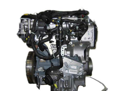 Z19dth-back