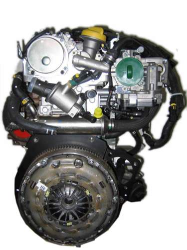 Z19dth-rh
